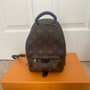 Louis Vuitton Palm Springs Mini *Updated Zipper*